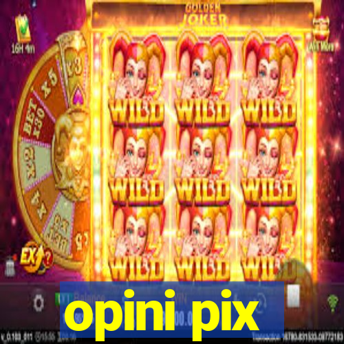 opini pix